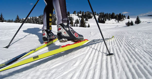 Палки для беговых лыж